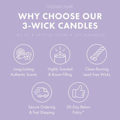 Lavender & Vanilla Aromatherapy 3-Wick Candle